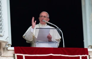 Papa Francisco en el u00c1ngelus / Foto: L'Osservatore Romano 