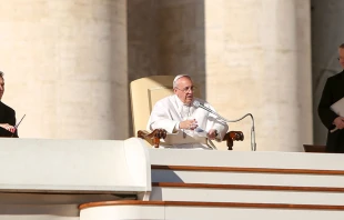 El Papa habla en la Plaza de San Pedro - Foto: Daniel Ibu00e1u00f1ez / ACI Prensa 