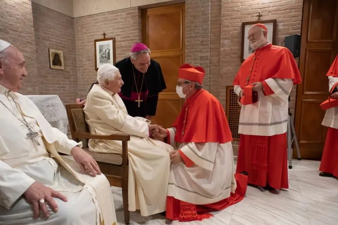 Papa Francisco y nuevos cardenales visitan a Benedicto XVI