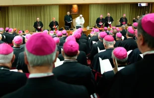 Imagen referencial. Foto: Daniel Ibu00e1u00f1ez / ACI Prensa 