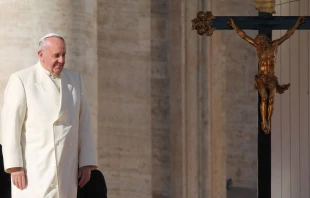 Papa Francisco. Foto: Kyle Burkhart / ACI Prensa 