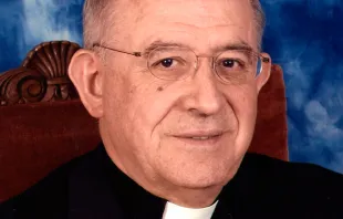 Mons. Francisco Gil Hellín (Arzobispo de Burgos) - Foto: Conferencia Episcopal Española 