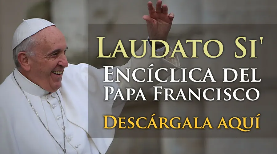 TEXTO COMPLETO: La encíclica Laudato Si’ del Papa Francisco en PDF y versión web
