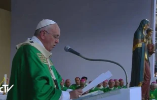 Papa Francisco en Misa en Turu00edn. Foto: Captura de video / CTV. 