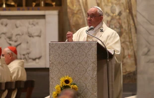 Papa Francisco (foto referencial) / Foto: Daniel Ibu00e1u00f1ez (ACI Prensa) 