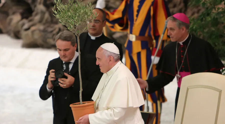 Papa Francisco con planta de olivo. Foto: Daniel Ibáñez / ACI Prensa?w=200&h=150