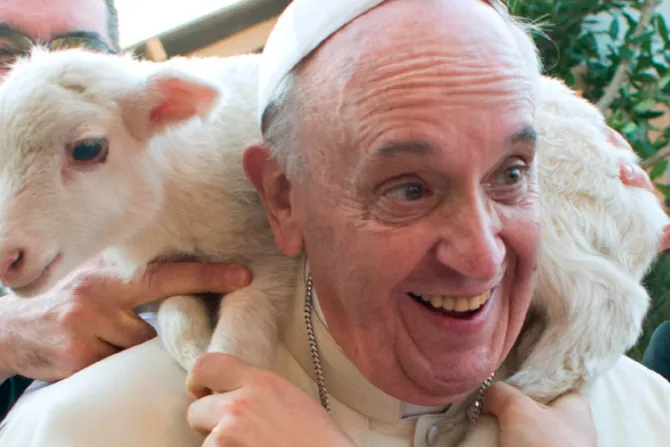 Papa Francisco: El obispo no puede dejar de ser el pastor que da la vida por sus ovejas