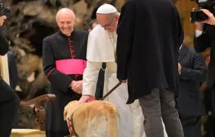 El Papa Francisco acaricia a un perro guía. Foto: L'Osservatore Romano) 