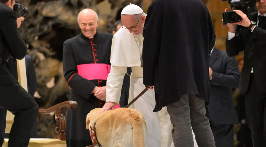 El Papa acaricia a un perro guía en el Aula Pablo VI en el Vaticano. Foto L'Osservatore Romano