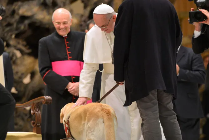 ¿Qué dijo el Papa Francisco sobre las mascotas?