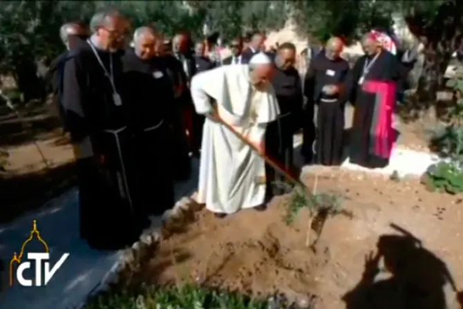 [VIDEO] El Papa Francisco planta un olivo argentino en el huerto de Getsemaní