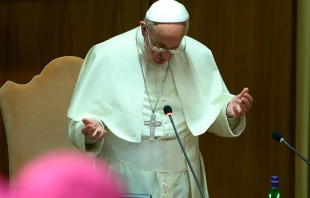 Papa Francisco (imagen referencial) / Foto: Daniel Ibu00e1u00f1ez (ACI Prensa) 