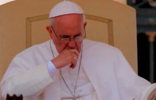 El Papa Francisco / Foto: CNA 