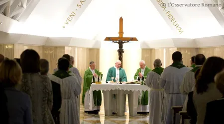 Papa Francisco: Custodiar la creación no como “verdes” sino como cristianos