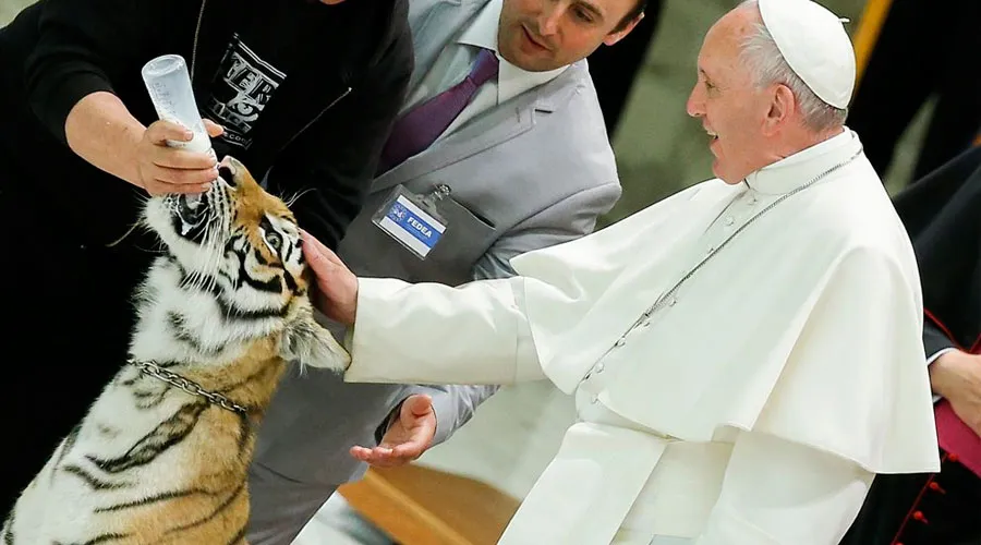 Papa Francisco acaricia el tigre en el aula Pablo VI. Foto: L'Osservatore Romano.?w=200&h=150