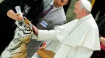 Papa Francisco acaricia el tigre en el aula Pablo VI. Foto: L'Osservatore Romano.