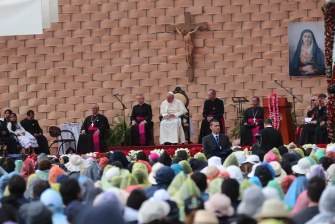 Papa Francisco: La universidad tiene un compromiso con la Creación y los pobres