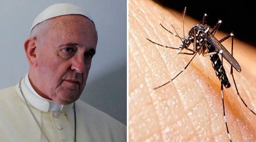 Papa Francisco - Foto: Alan Holdren (ACI Prensa) / Mosquito Aedes Aegypti - Foto: Agencia Andina?w=200&h=150