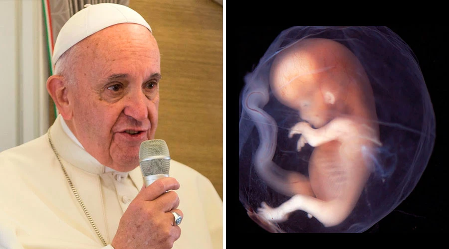 Papa Francisco: ACI Prensa / Embrion: Flickr de Lunar Caustic (CC-BY-SA-2.0)?w=200&h=150