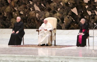 Papa Francisco. Foto: Andreas Dueren / ACI Prensa 