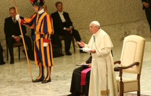 El Papa Francisco en la audiencia esta mau00f1ana en el Aula Pablo VI. Foto Daniel Ibu00e1u00f1ez / ACI Prensa 