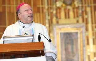 Mons. Franco Coppola en Misa en la Basu00edlica de Guadalupe el 1 de enero de 2022. Cru00e9dito: Basu00edlica de Guadalupe. 