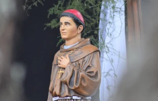 Fray Mamerto Esquiu00fa. Cru00e9dito: Twitter @FMamertoEsquiu00fa 