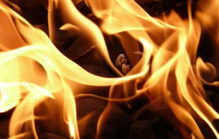 Imagen referencial. Cru00e9dito: Pixabay 