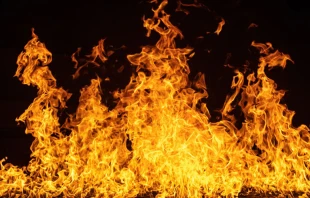 Imagen referencial. Crédito: Unsplash. 