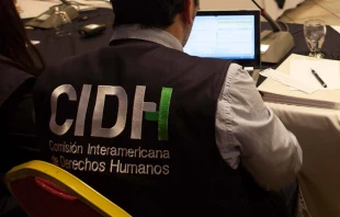 Imagen referencial / Funcionario de la CIDH. Foto: Gustavo Amador/CIDH. 