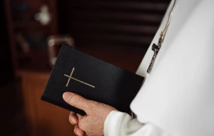 Foto referencial. Cru00e9dito: Shutterstock 