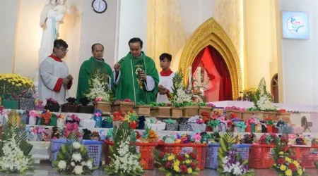 Diócesis realiza funeral y entierro de unos 700 bebés abortados en Vietnam