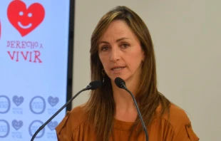 Gu00e1dor Joya, portavoz de Derecho a Vivir. Foto: Flickr Derecho a Vivir.  