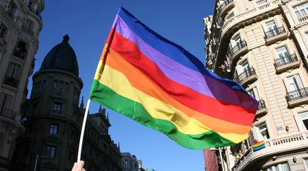Madre denunciaría a colegio que obligó a su hijo a asistir a desfile del “orgullo gay” 