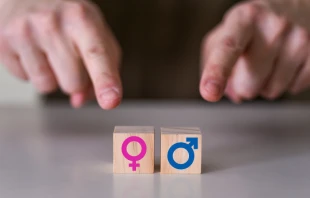 Imagen referencial. Cru00e9dito: Shutterstock 