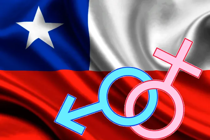Gobierno de Chile pone urgencia a proyecto de ley que autorizaría cambio de sexo