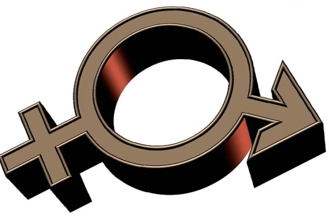 Ideología de género fue creada para destruir la familia, denuncian obispos dominicanos