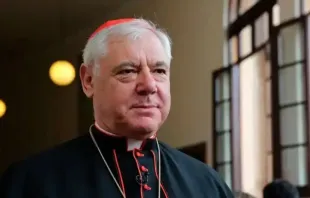 Cardenal Gerhard Müller. Foto: Bohumil Petrik/ACI Prensa 