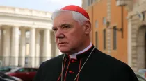 El Cardenal Müller en el Vaticano. Foto: Daniel Ibáñez / ACI Prensa