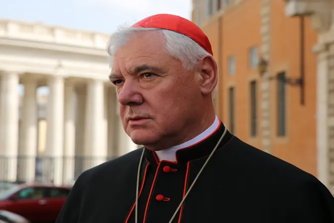 Cardenal Müller: Filtración de supuesta “carta” para el Papa Francisco busca dividirnos