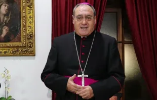 El Arzobispo Coadjutor de Granada (España), Mons. José María Gil Tamayo. Crédito: Diócesis de Ávila 