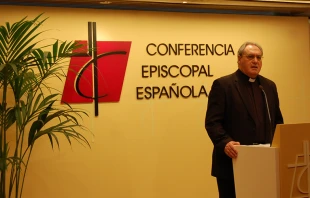 P. Josu00e9 Maru00eda Gil Tamayo, vocero de la Conferencia Episcopal Espau00f1ola. Foto: Flickr CEE.  