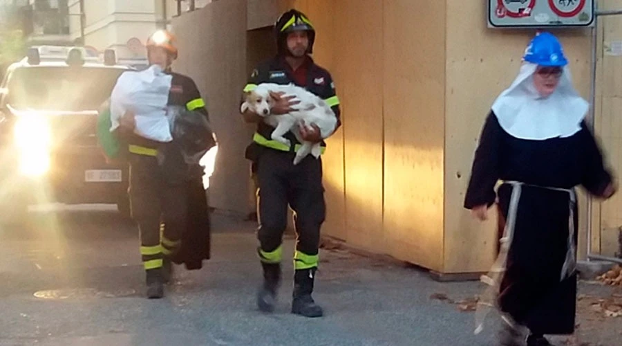 "Giobbe" es rescatado por las religiosas de clausura y los bomberos / Foto: Francesco Grignetti?w=200&h=150