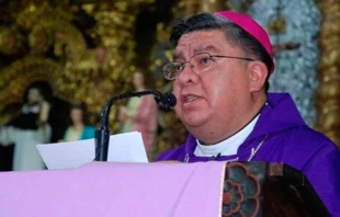 Mons. Giovani Edgar Arana. Cru00e9dito: IglesiaViva.net 