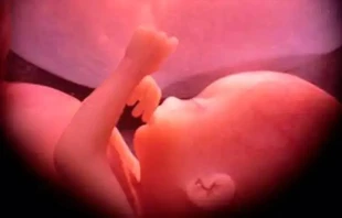 Imagen referencial. Cru00e9dito: Ivon19 / Wikipedia (dominio pu00fablico) (CC-BY-SA-4.0) 