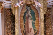 Obispos piden a devotos de Virgen de Guadalupe vestir de blanco por la paz de México