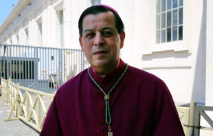 Mons. Gustavo Rodru00edguez Vega. Foto Petrik Bohumil / ACI Prensa 