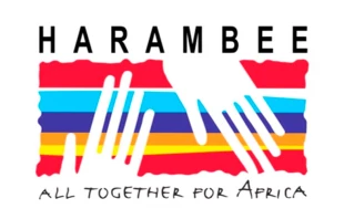 Harambee - Todos juntos por u00c1frica / Foto: Captura de Youtube 