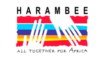 Harambee - Todos juntos por África / Foto: Captura de Youtube