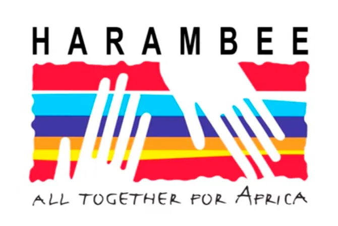 [VIDEO] Convocan concurso Harambee para abrir diálogo con África